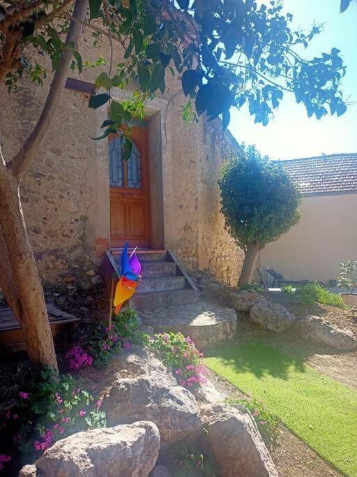 Le Clos Du Pin Thezan-les-Beziers Εξωτερικό φωτογραφία